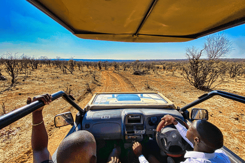 Victoria watervallen: Game drive of safari voor alleenreizenden