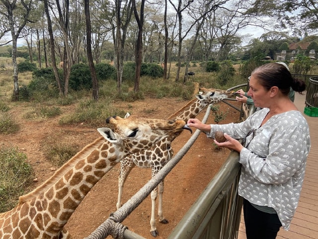 Nairobi: Elephant Orphanage, Giraffe Center, & Karen Blixen