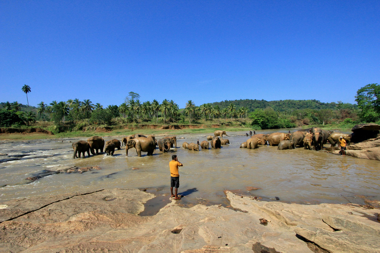 From Kandy: Pinnawala Elephant Orphanage Tuk-Tuk Day Tour