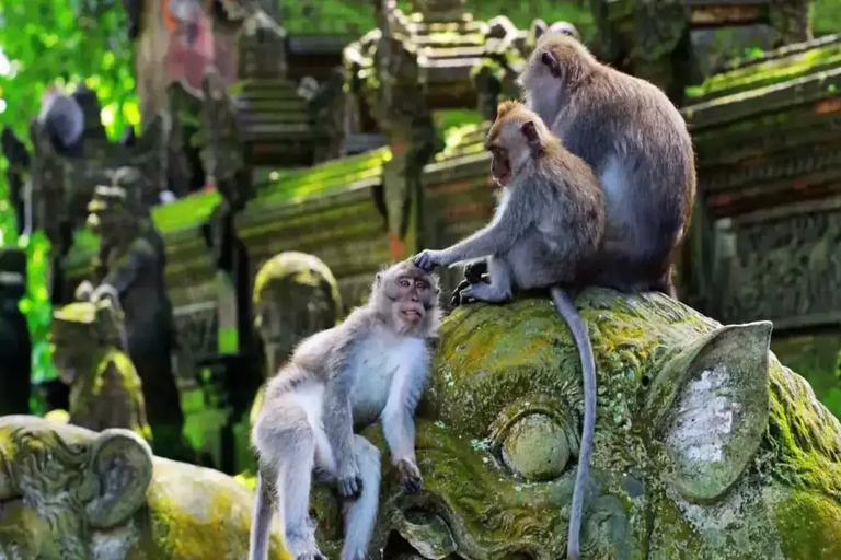 Ubud: Monkey Forest, Pura, Rice Terraces, Hidden Waterfall Ubud : Private Tour With Ticket