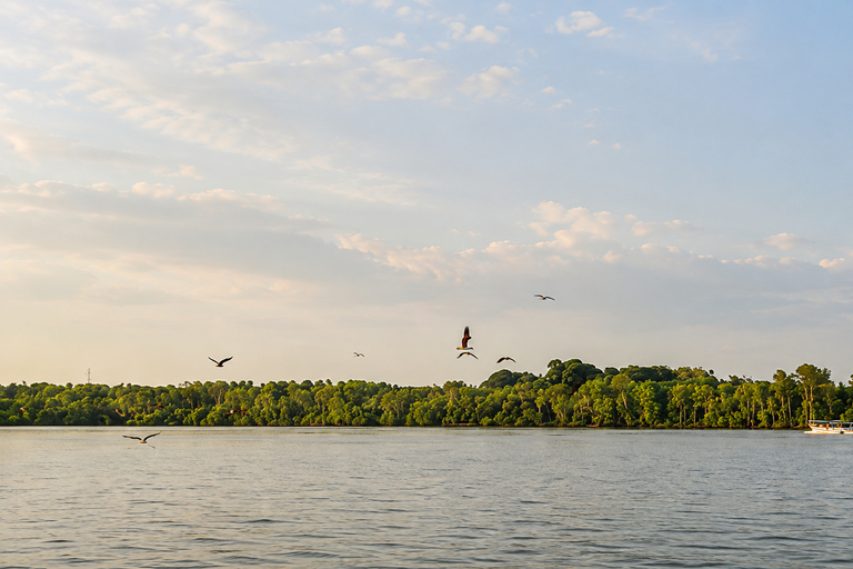 Kuala Selangor: Eagles Watching, Fireflies & Blue Tears