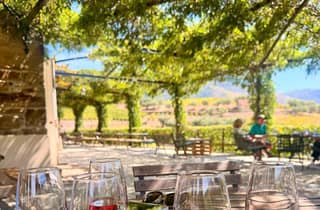 Porto: Halbtägige Weingut- & Lunch-Tour im Douro-Tal