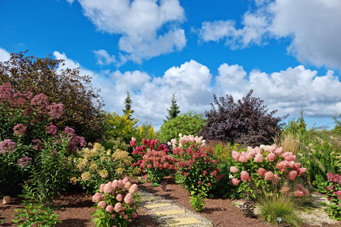 From Riga: Vidzeme Coast Half-Day Trip with Lunch