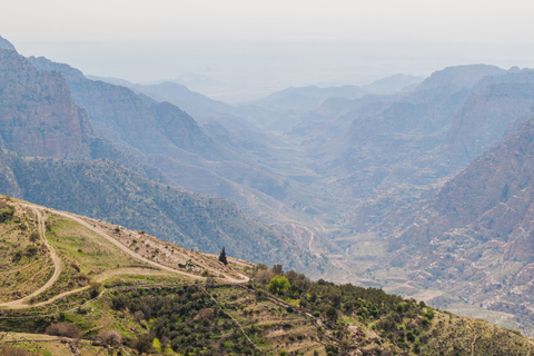 Au départ d&#039;Aqaba : Excursion privée d&#039;une journée dans la réserve naturelle de Dana avec déjeuner