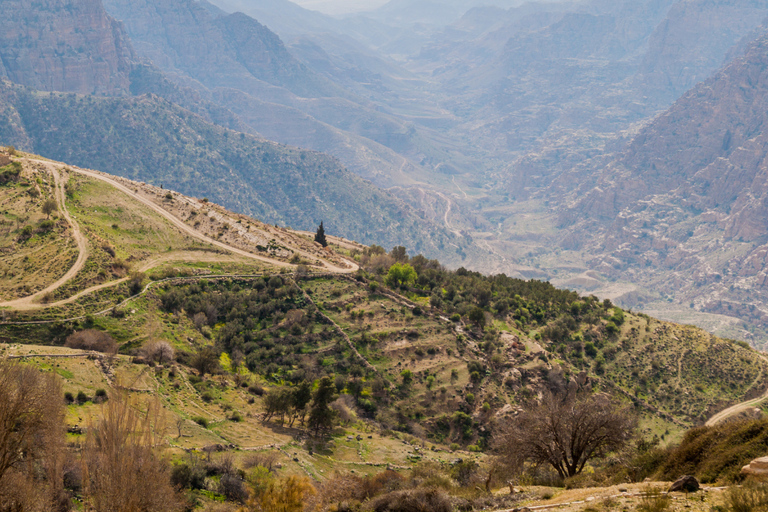 From Aqaba: Dana Nature Reserve Private Day Trip with Lunch