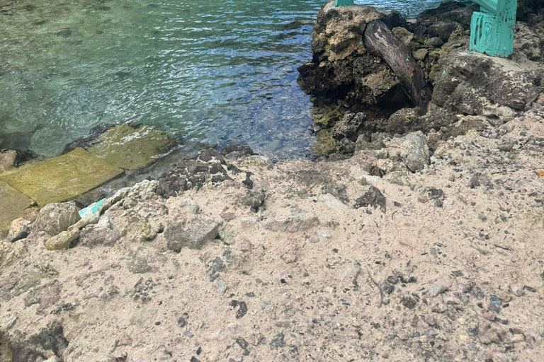 Port Vila: Natural Wonders & Waterfall Tour with BBQ Lunch