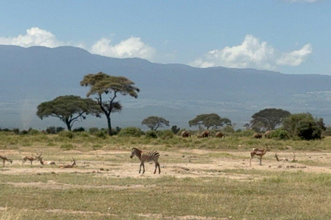 Tour di un giorno del Parco Nazionale di Amboseli e visita al villaggio Maasai