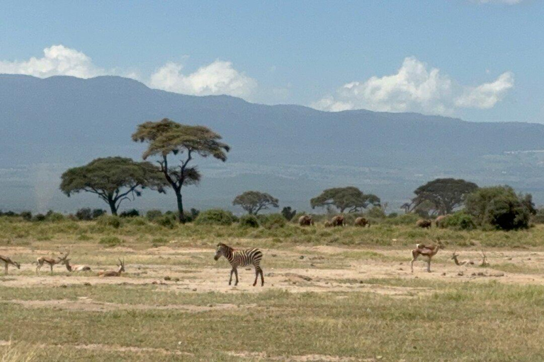 Tour di un giorno del Parco Nazionale di Amboseli e visita al villaggio Maasai