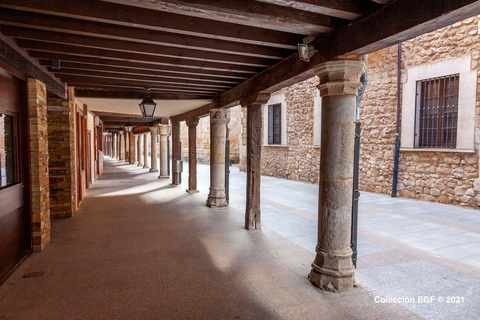 Guided tour of Burgo de Osma (by ECO-BUS)