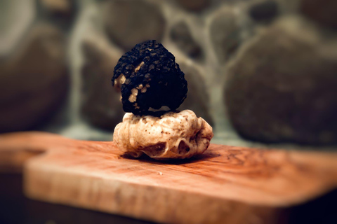 UNESCO Piedmont: Wine, Truffles, and Serravalle Outlet – Half-Day – Private UNESCO Piedmont: Wine, Truffles, and Serravalle Outlet – Half-Day, Private Tour