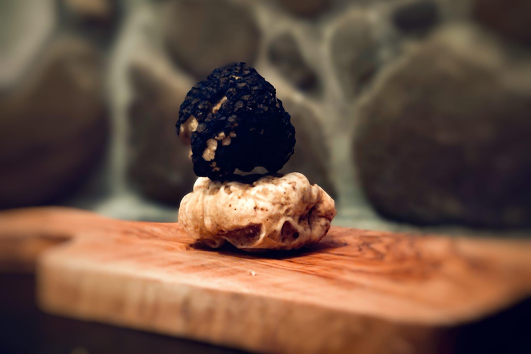 UNESCO Piedmont: Wine, Truffles, and Serravalle Outlet – Half-Day – Private UNESCO Piedmont: Wine, Truffles, and Serravalle Outlet – Half-Day, Private Tour