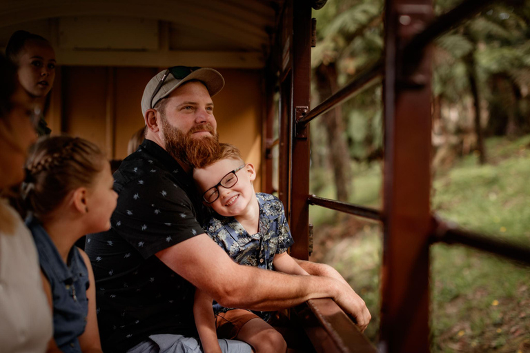 Melbourne: Tren Puffing Billy y Excursión a la Isla de los Pingüinos