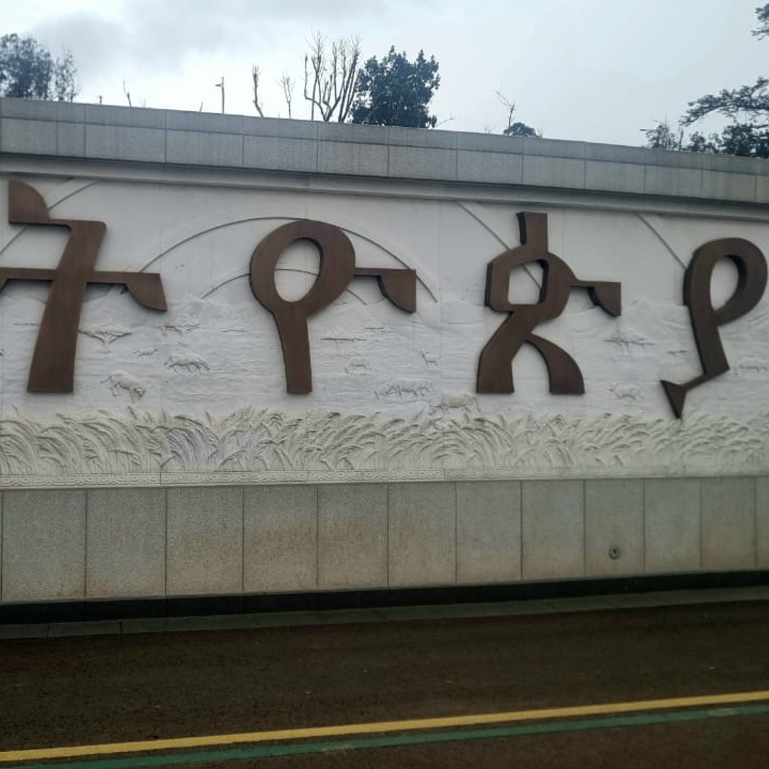 Addis Pulse Walks