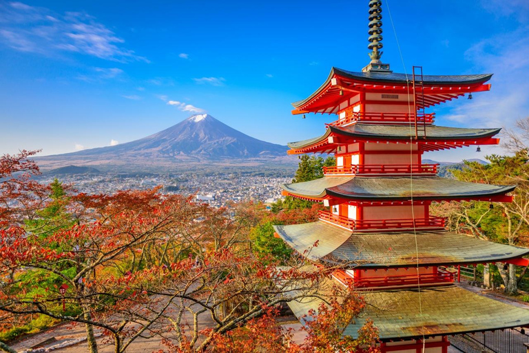 Tokyo: Mt Fuji&Chureito Pagoda&Lake Kawaguchi&Oshino Hakkai Free Karaage Chicken Set | 8AM Tokyo Station Departure