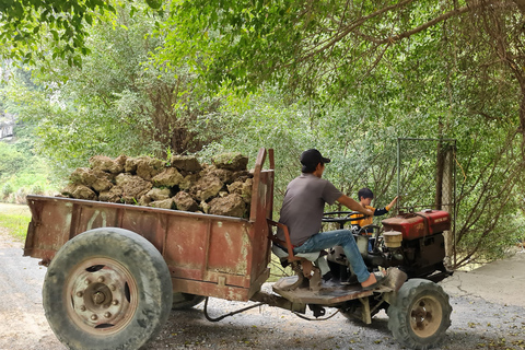 Ninh Binh liten grupp från Hanoi: Båt, cykel och vardagslivNinh Binh liten grupp från Hanoi: Båt, cykel och vandring