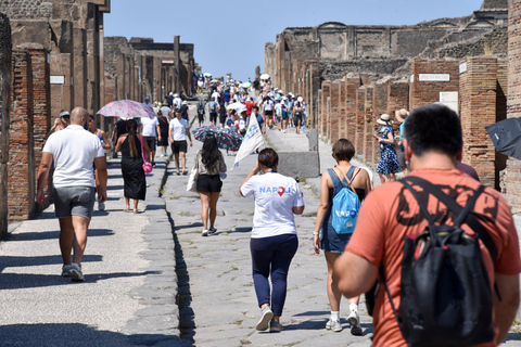 Pompeii Tour from Naples by Mercedes Minivan with Guide
