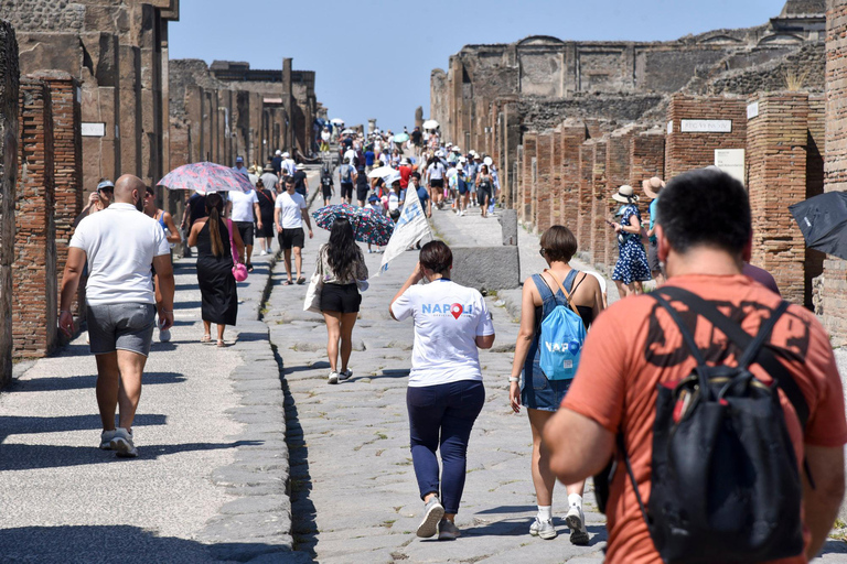 Pompeii Tour from Naples by Mercedes Minivan with Guide