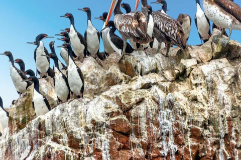 &quot;Chavín de Huántar y Laguna de Querococha: Tickets de entrada y más&quot;.