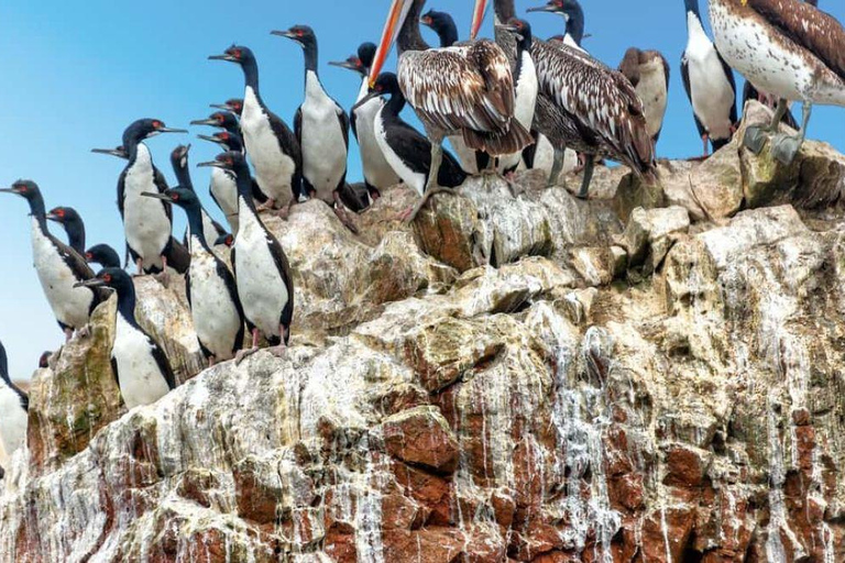 &quot;Chavín de Huántar y Laguna de Querococha: Tickets de entrada y más&quot;.