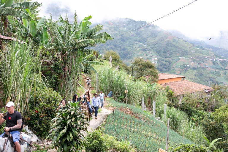 Medellin: Koffietour, aankomst te paard en suikerriet