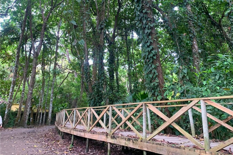 From Santa Marta: Tayrona National Park Guided Hike