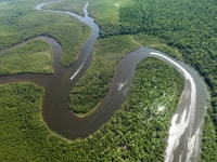 Iquitos, Tour of the Amazon in 2 days - Housity