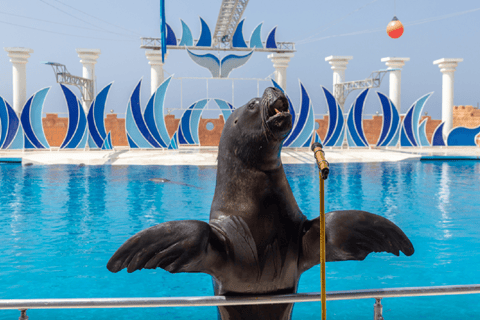 Alanya: Dolphin Aquapark of Superlatives with Transport Alanya: Dolphin Water Park of Superlatives with Transfer