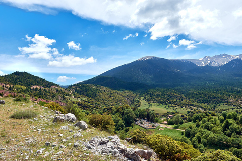 Best of Greece 7-Day Private Tour Peloponnese Delphi Meteora