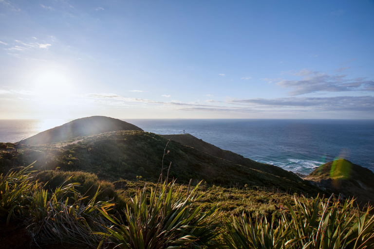 Cape Reinga: Māori Culture Experience with Ngāti Kurī Tribe