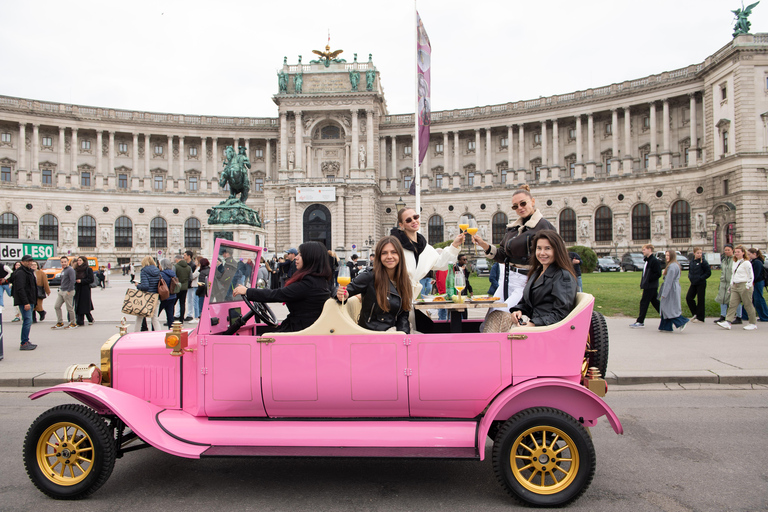 Vienna Christmas Market Tour – 3 h of Magical Festive Time