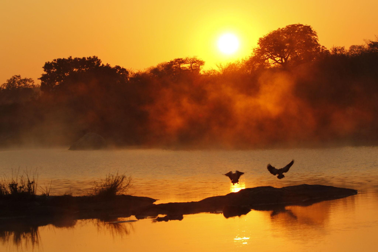 Birdwatching Safari - Chobe River (with Expert Guide)