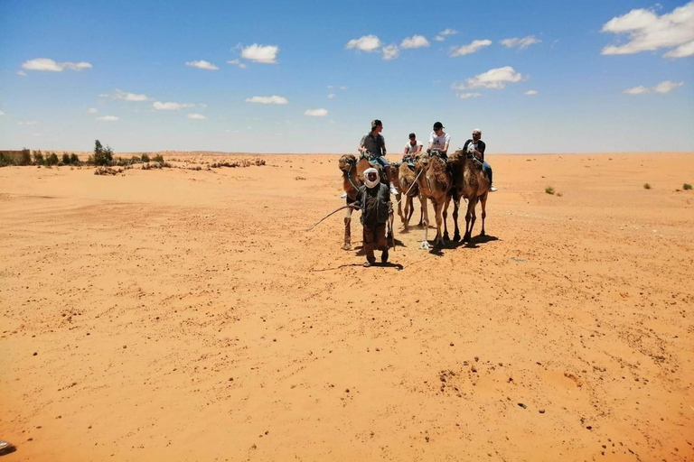 Dos días y una noche en un campamento, Ksar Ghilane desde Djerba