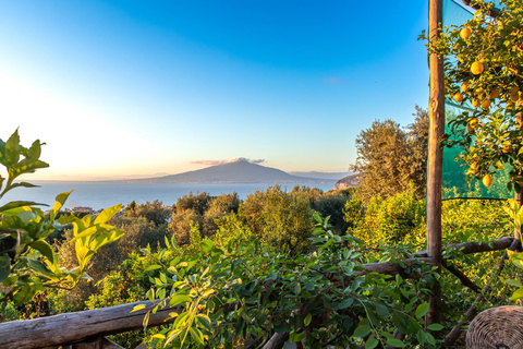 SORRENTO: Weinverkostung mit Blick auf das Meer in einem Zitronenhain