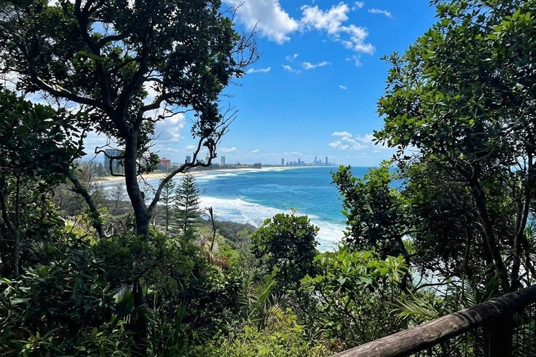 From Brisbane: Private Gold Coast Tour with Meal and Skywalk