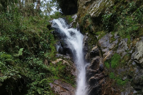 Medellín: Trekking and nature adventure at the Chorro de Campanas waterfall Medellín: Trekking and Nature Adventure at the Chorro de Campanas Waterfall