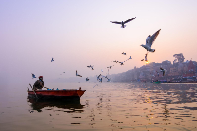 Varanasi: Tour di un giorno con giro in barca ed esplorazione di Sarnath