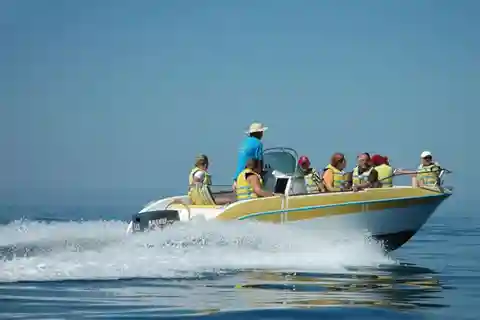 Djerba: Zapierająca dech w piersiach wycieczka łodzią na spotkanie z delfinami