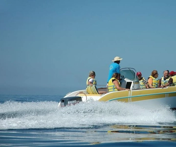 Djerba: A Breathtaking Boat Trip to Encounter Dolphins