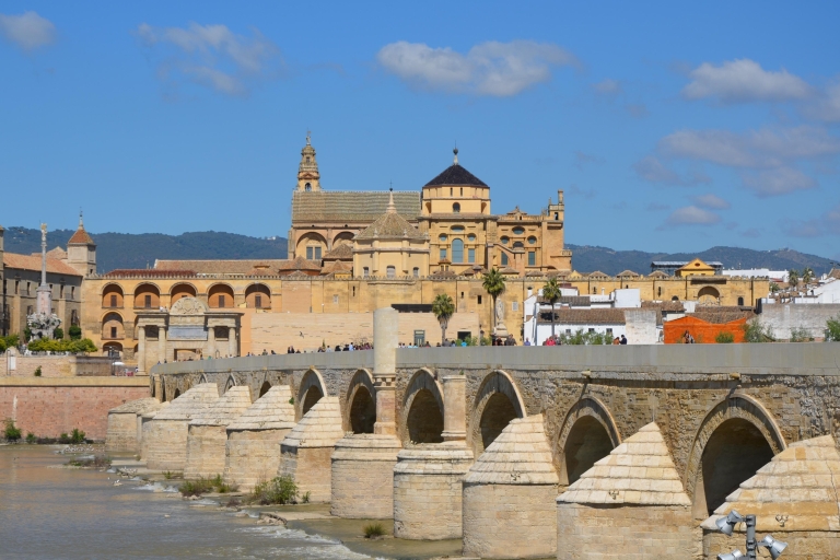 From Seville: Private Day Trip to Ronda and Córdoba
