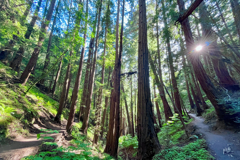 CUSTOM PHOTO ADVENTURES TO THE BAY AREA'S MOST EPIC SCENERY 6-HOUR PHOTO ADVENTURE TO THE BAY AREA'S MOST EPIC SCENERY