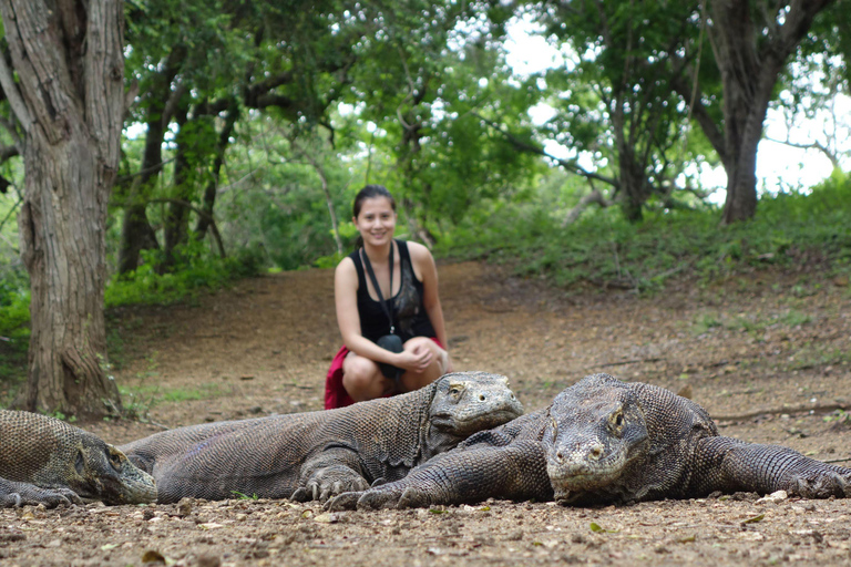 Komodo National Park Full-Day Boat Tour
