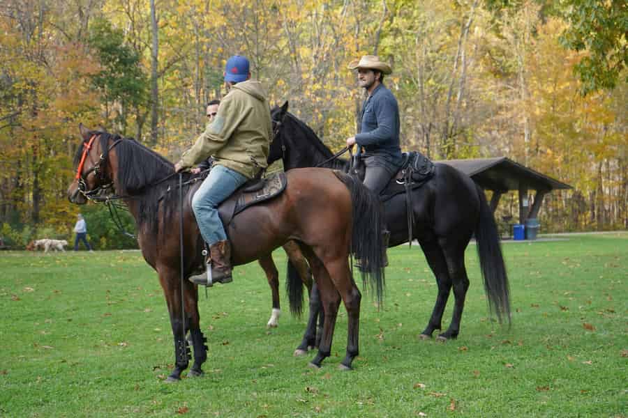 Oregon: 1-stündiges Reitabenteuer auf Wanderwegen. Foto: GetYourGuide Oregon: 1-stündiges Reitabenteuer auf Wanderwegen. Foto: GetYourGuide
