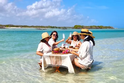 Sisal: Picnic PREMIUM en medio del mar y snorkel manantial