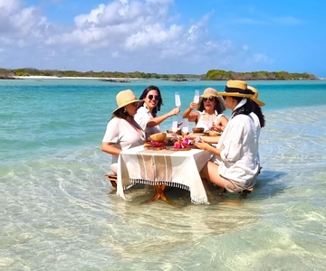Sisal: Picnic PREMIUM en medio del mar y snorkel manantial