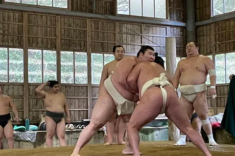 Osaka: Visita guiada à prática real de luta de sumô