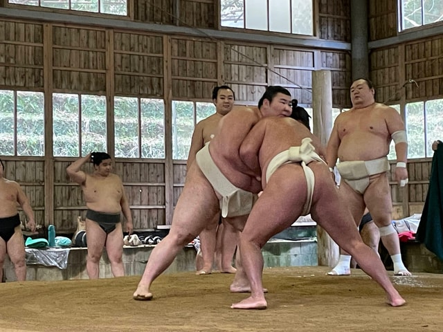 Osaka: Sumo Wrestling Real Practice Viewing Guided Tour