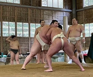 Osaka Sumo Güreşi Gerçek Uygulama Görüntüleme Rehberli Tur