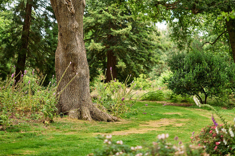 Oxford: bilet wstępu do Harcourt Arboretum