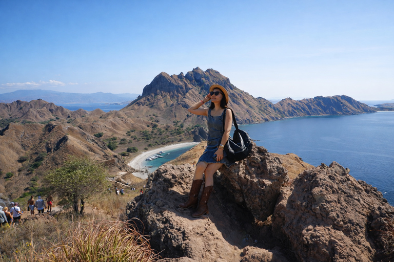From Labuan Bajo: Komodo National Park Full-Day Boat Tours Half day komodo sailing with speedboat