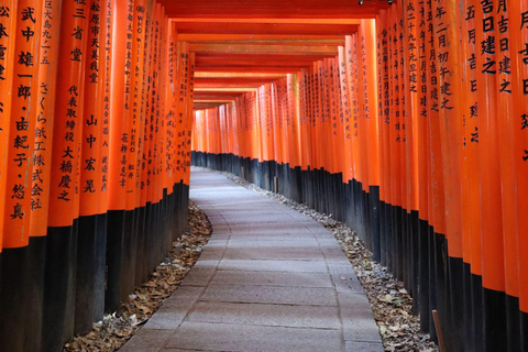 Kyoto: Private Luxury Tour With Vehicle (Customizable)